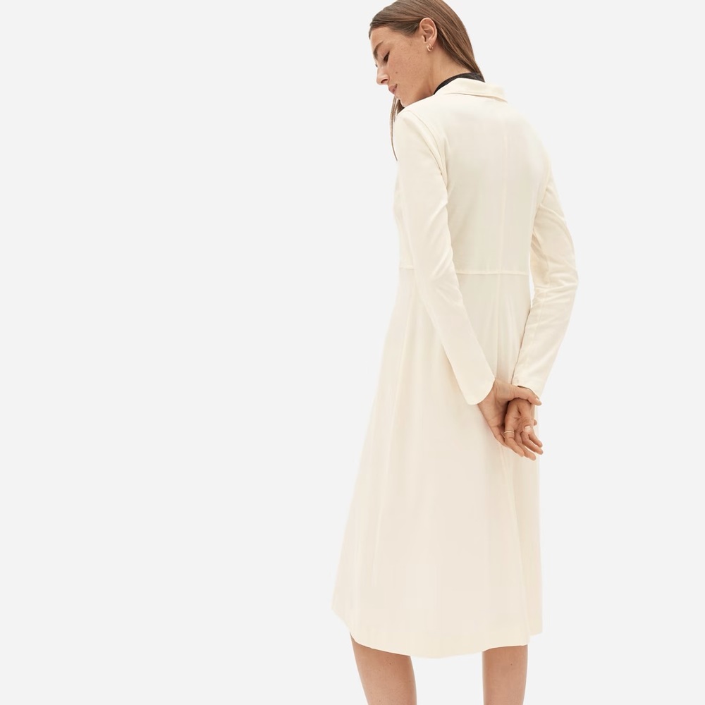 Everlane The Luxe Cotton Shirtdress NWOT